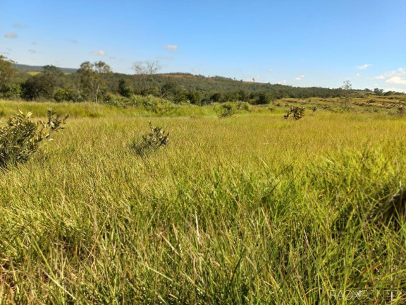 Imagem Fazenda à Venda, 10.000.000 m² em Zona Rural - Camapuã Imagem Fazenda à Venda, 10.000.000 m² em Zona Rural - Camapuã