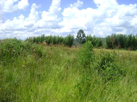 Imagem Terreno à Venda, 15.700 m² em Acesso Para Carretas - Mairiporã