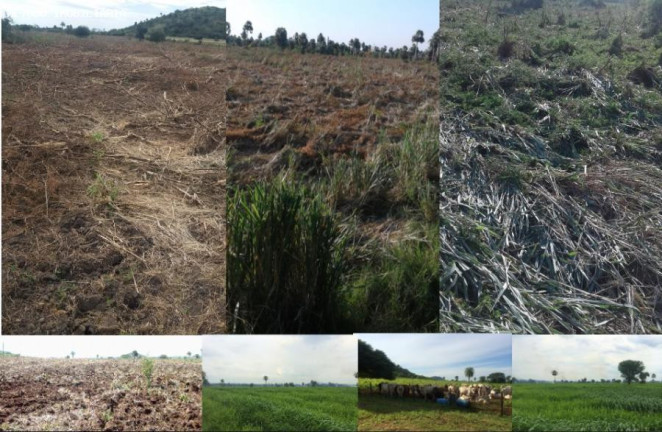 Imagem Fazenda à Venda, 4.800 m² em Rural - Porto Murtinho Imagem Fazenda à Venda, 4.800 m² em Rural - Porto Murtinho