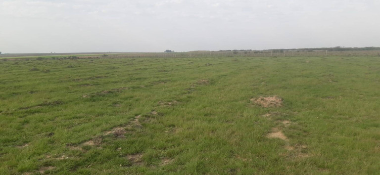 Terreno à Venda, 16 m² em Itaqui