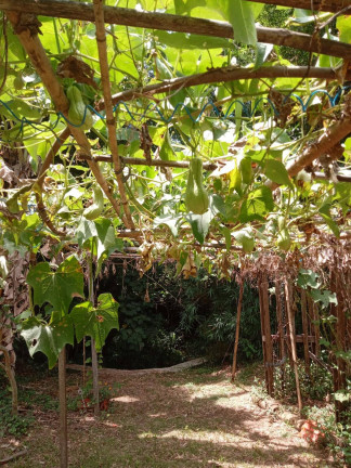 Imagem Chácara com 2 Quartos à Venda, 6.500 m² em Mato Dentro - Jundiaí