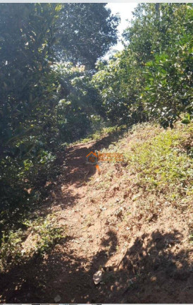 Imagem Chácara com 1 Quarto à Venda, 6.500 m² em Tapera Grande - Mairiporã Imagem Chácara com 1 Quarto à Venda, 6.500 m² em Tapera Grande - Mairiporã