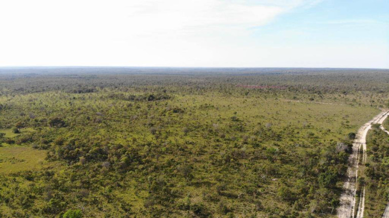 Imagem Chácara à Venda, 1.070 m² em Plano Diretor Sul - Palmas Imagem Chácara à Venda, 1.070 m² em Plano Diretor Sul - Palmas