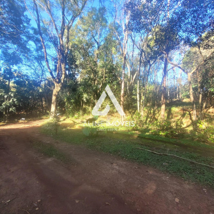 Imagem Fazenda à Venda,  em Educacional - Cruz Alta