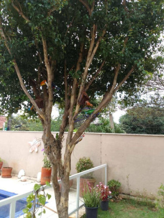 Imagem Casa com 5 Quartos à Venda, 190 m² em Granja Viana - Carapicuíba Imagem Casa com 5 Quartos à Venda, 190 m² em Granja Viana - Carapicuíba