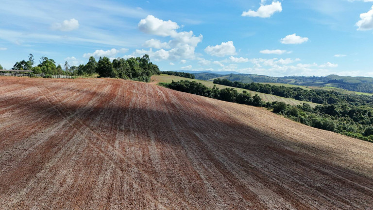 Imagem Fazenda à Venda, 700 m² em São Vicente De Minas Imagem Fazenda à Venda, 700 m² em São Vicente De Minas