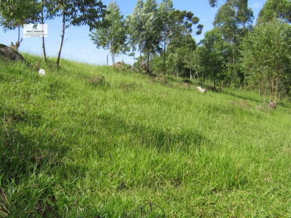 Imagem Chácara à Venda, 11.280 m² em Alto Da Serra - São Roque