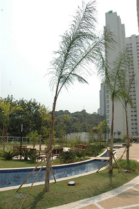 Imagem Apartamento com 3 Quartos à Venda, 172 m² em Panamby - São Paulo