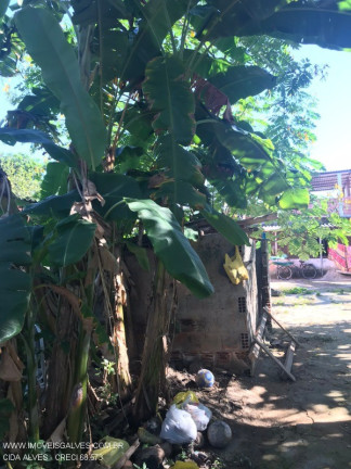 Imagem Imóvel com 1 Quarto à Venda,  em Imbariê - Duque De Caxias