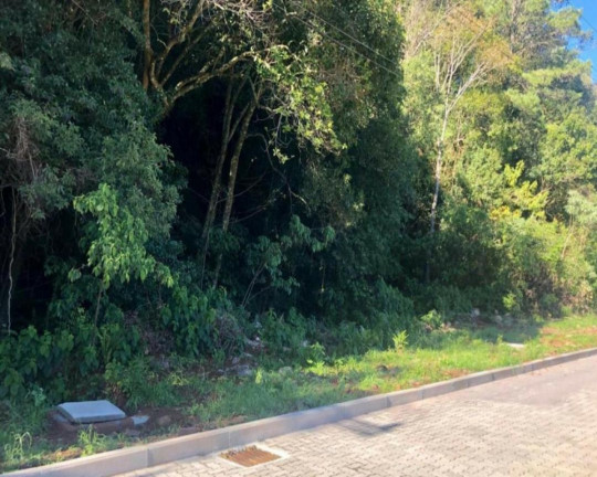 Imagem Imóvel à Venda, 514 m² em Logradouro - Nova Petrópolis Imagem Imóvel à Venda, 514 m² em Logradouro - Nova Petrópolis