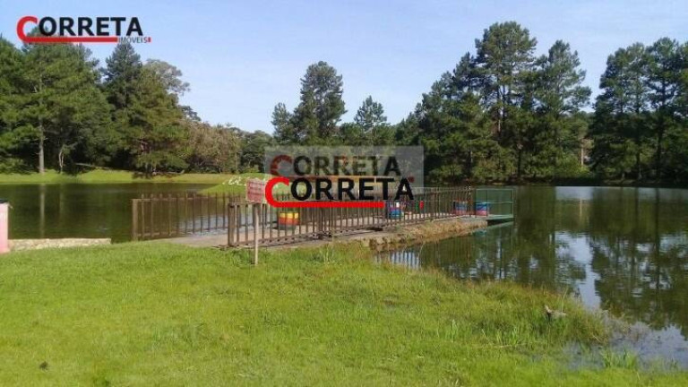 Imagem Chácara com 5 Quartos à Venda, 2 m² em Piratuba - Ibiúna Imagem Chácara com 5 Quartos à Venda, 2 m² em Piratuba - Ibiúna