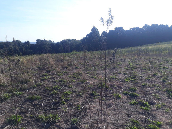 Imagem Terreno à Venda, 28.000 m² em Ortizes - Piedade Imagem Terreno à Venda, 28.000 m² em Ortizes - Piedade