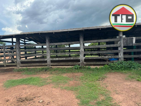 Imagem Fazenda à Venda, 2.420.000 m² em Zona Rural - Nova Ipixuna Imagem Fazenda à Venda, 2.420.000 m² em Zona Rural - Nova Ipixuna
