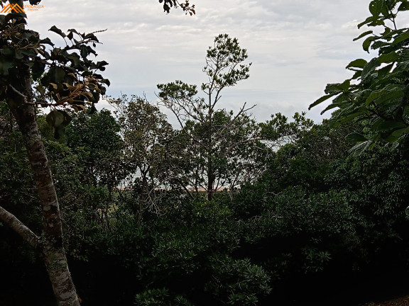 Imagem Terreno à Venda, 3.484 m² em Silveira - Garopaba