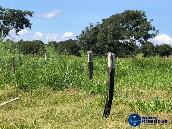 Imagem Fazenda à Venda, 166 m² em Zona Rural - Torixoréu Imagem Fazenda à Venda, 166 m² em Zona Rural - Torixoréu