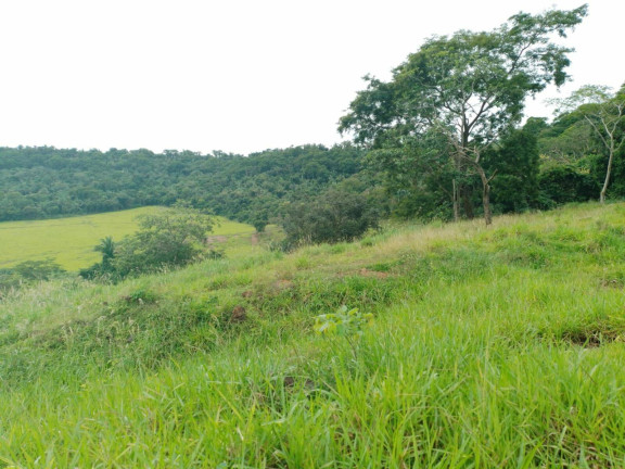 Imagem Chácara à Venda, em Cuiabá Imagem Chácara à Venda, em Cuiabá