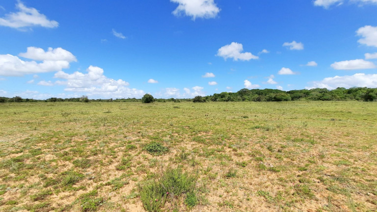 Imagem Fazenda à Venda, 900.000 m² em Centro - Viamão Imagem Fazenda à Venda, 900.000 m² em Centro - Viamão