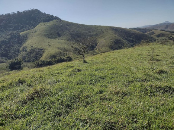Imagem Fazenda à Venda, 100 m² em Vale Do Rio Formoso - São José Do Barreiro Imagem Fazenda à Venda, 100 m² em Vale Do Rio Formoso - São José Do Barreiro