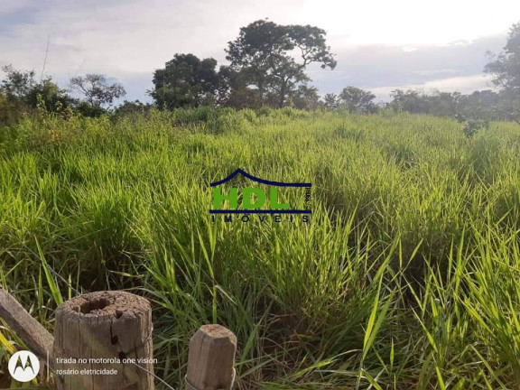 Imagem Fazenda à Venda, 318 m² em Zona Rural - Araguaiana