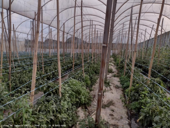 Imagem Chácara com 8 Quartos à Venda, 21.000 m² em Zona Rural - Caldas Imagem Chácara com 8 Quartos à Venda, 21.000 m² em Zona Rural - Caldas