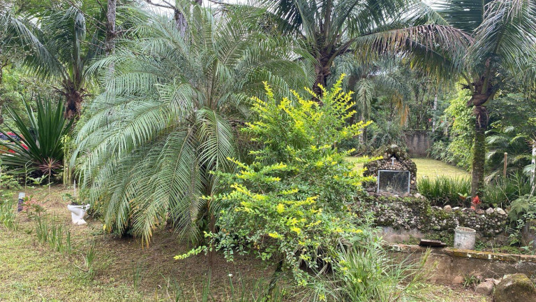 Imagem Chácara com 3 Quartos à Venda, 140 m² em Itariri Imagem Chácara com 3 Quartos à Venda, 140 m² em Itariri