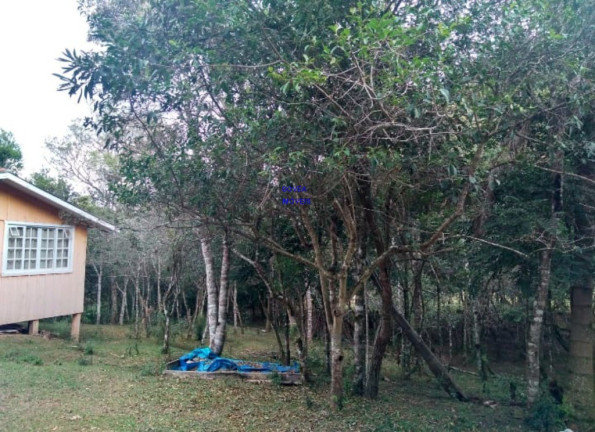 Imagem Imóvel com 2 Quartos à Venda, 21.808 m² em Jardim Itapituba - Contenda Imagem Imóvel com 2 Quartos à Venda, 21.808 m² em Jardim Itapituba - Contenda