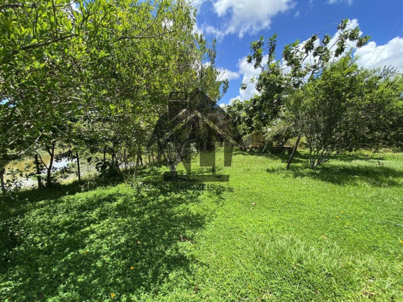 Imagem Imóvel com 5 Quartos à Venda, 780.000 m² em Zona Rual - Simões Filho