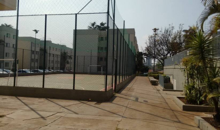 Imagem Apartamento com 2 Quartos à Venda, 55 m² em Jardim Miranda - Campinas Imagem Apartamento com 2 Quartos à Venda, 55 m² em Jardim Miranda - Campinas