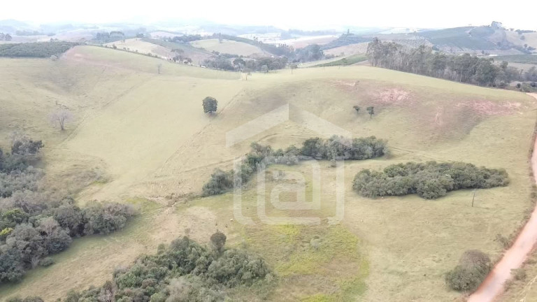 Imagem Imóvel com 2 Quartos à Venda, 29 m² em Pessegueiros - Campestre Imagem Imóvel com 2 Quartos à Venda, 29 m² em Pessegueiros - Campestre