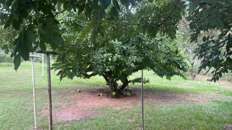 Imagem Imóvel com 3 Quartos à Venda, 290 m² em Parque Santa Cândida - Bauru Imagem Imóvel com 3 Quartos à Venda, 290 m² em Parque Santa Cândida - Bauru