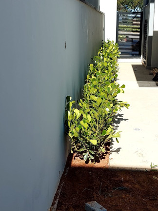 Imagem Casa com 4 Quartos à Venda, 300 m² em Cezar De Souza - Mogi Das Cruzes Imagem Casa com 4 Quartos à Venda, 300 m² em Cezar De Souza - Mogi Das Cruzes