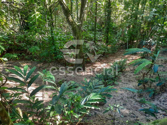 Imagem Casa com 2 Quartos à Venda, 100 m² em Praia Do Prumirim - Ubatuba