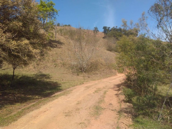 Imagem Chácara com 1 Quarto à Venda, 100 m² em Centro - São Luíz Do Paraitinga