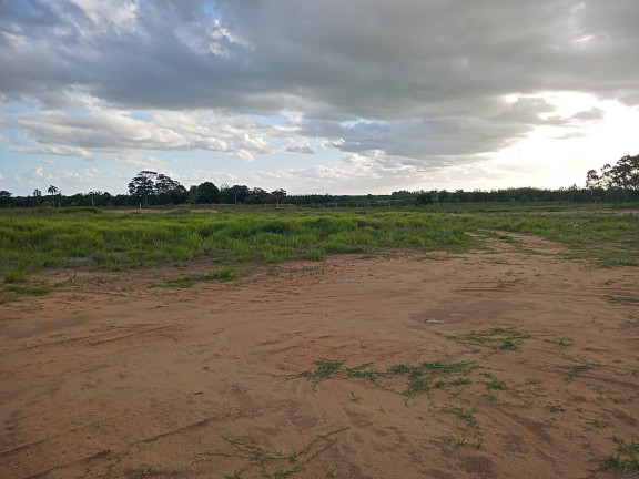 Imagem Chácara à Venda, 20.000 m² em águas Claras - Viamão