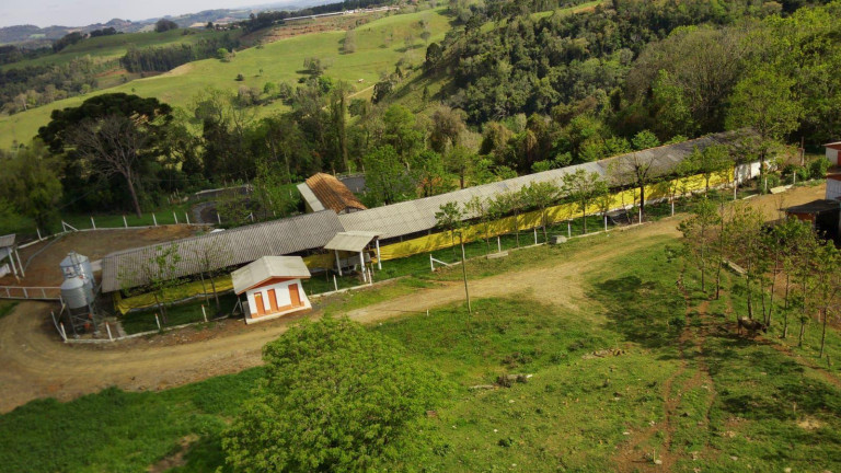 Imagem Imóvel à Venda, 133.000 m² em Rural - Concórdia Imagem Imóvel à Venda, 133.000 m² em Rural - Concórdia