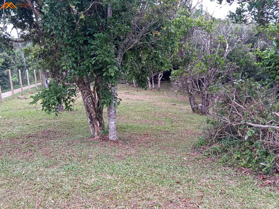 Imagem Terreno à Venda, 3.484 m² em Silveira - Garopaba