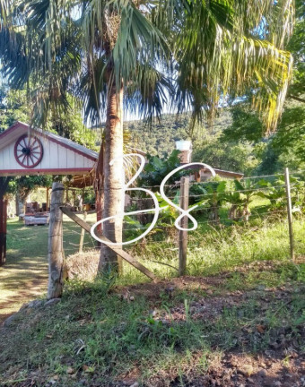 Imagem Imóvel com 3 Quartos à Venda, 10.000 m² em Estrada Geral - Igrejinha Imagem Imóvel com 3 Quartos à Venda, 10.000 m² em Estrada Geral - Igrejinha