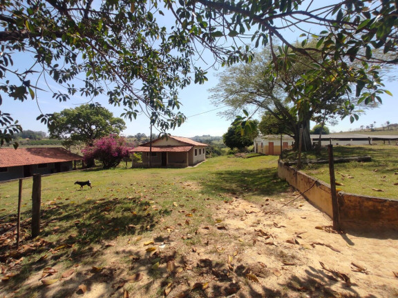 Imagem Chácara com 4 Quartos à Venda, 242 m² em Cercadinho - Alambari Imagem Chácara com 4 Quartos à Venda, 242 m² em Cercadinho - Alambari