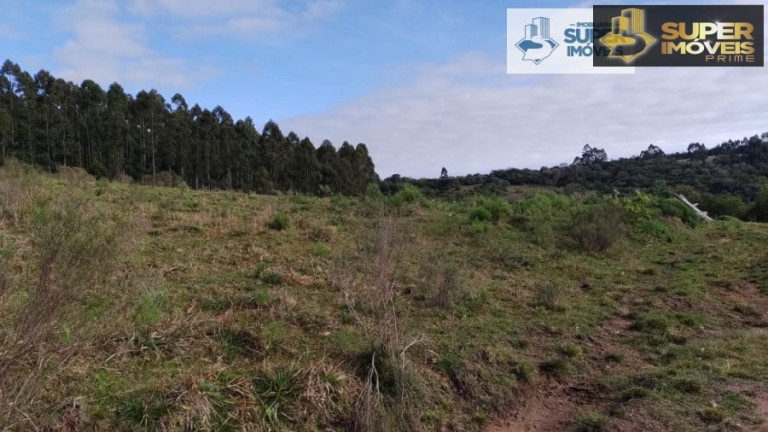 Imagem Imóvel com 2 Quartos à Venda, 580.000 m² em Centro - Canguçu