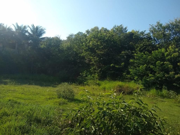 Imagem Imóvel à Venda, 874 m² em Palmeiras - Guaraparia