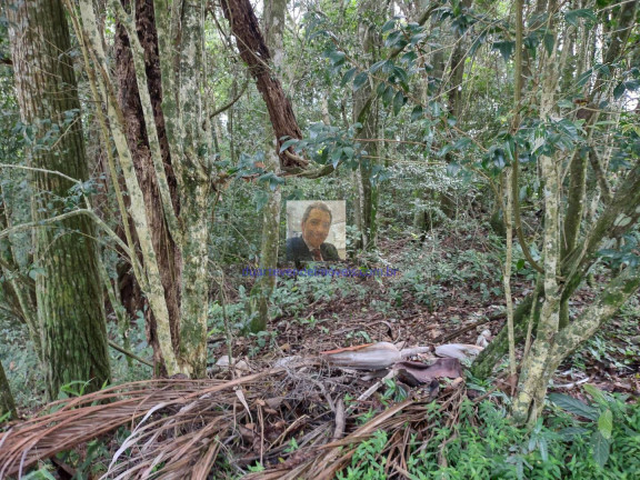Imagem Terreno em Condomínio à Venda, em Jardim Atalaia - Cotia Imagem Terreno em Condomínio à Venda, em Jardim Atalaia - Cotia