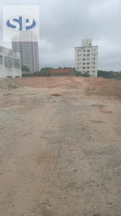 Imagem Terreno para Alugar, 1.500 m² em Vila Santa Catarina - São Paulo Imagem Terreno para Alugar, 1.500 m² em Vila Santa Catarina - São Paulo