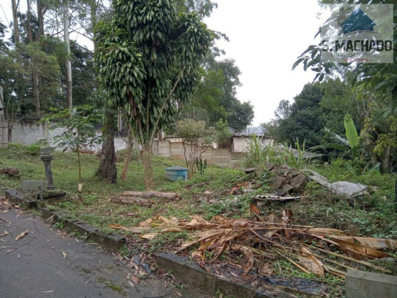 Imagem Chácara com 2 Quartos à Venda, 5.000 m² em Riacho Grande - São Bernardo Do Campo