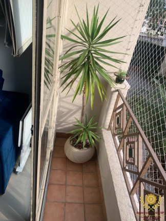 Imagem Apartamento com 2 Quartos à Venda, 55 m² em Vila Pita - São Paulo Imagem Apartamento com 2 Quartos à Venda, 55 m² em Vila Pita - São Paulo