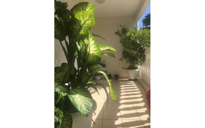 Imagem Apartamento com 4 Quartos à Venda, 126 m² em Jardim Esplanada - São José Dos Campos Imagem Apartamento com 4 Quartos à Venda, 126 m² em Jardim Esplanada - São José Dos Campos
