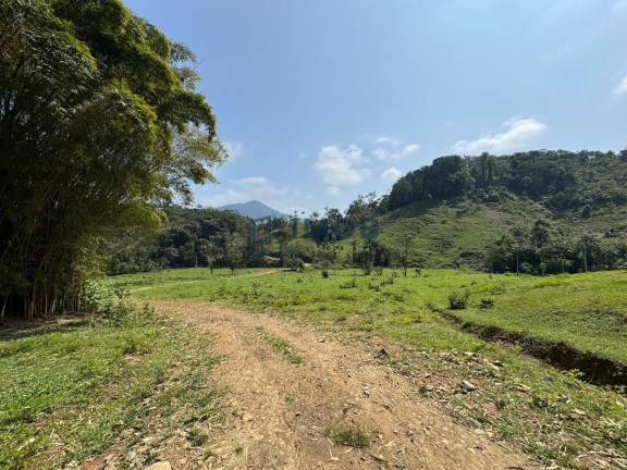Imagem Chácara à Venda, 20.000 m² em Garibaldi - Jaraguá Do Sul Imagem Chácara à Venda, 20.000 m² em Garibaldi - Jaraguá Do Sul