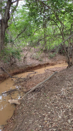 Imagem Chácara à Venda, 47 m² em Montes Claros Imagem Chácara à Venda, 47 m² em Montes Claros