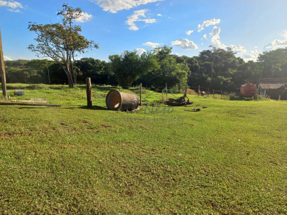 Imagem Fazenda à Venda, 65.340 m² em Bonfim - Pirassununga Imagem Fazenda à Venda, 65.340 m² em Bonfim - Pirassununga