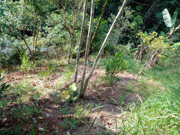 Imagem Imóvel à Venda,  em Zantão - Brusque