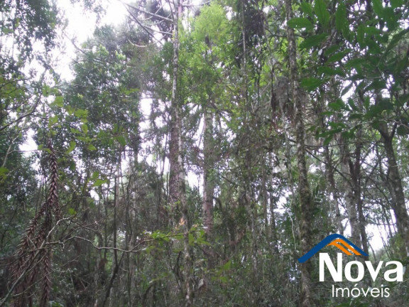 Imagem Imóvel à Venda, em Linha Imperial - Nova Petrópolis Imagem Imóvel à Venda, em Linha Imperial - Nova Petrópolis